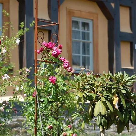 Hotel Denkmalhof Schlagwitz Waldenburg (Saxony)